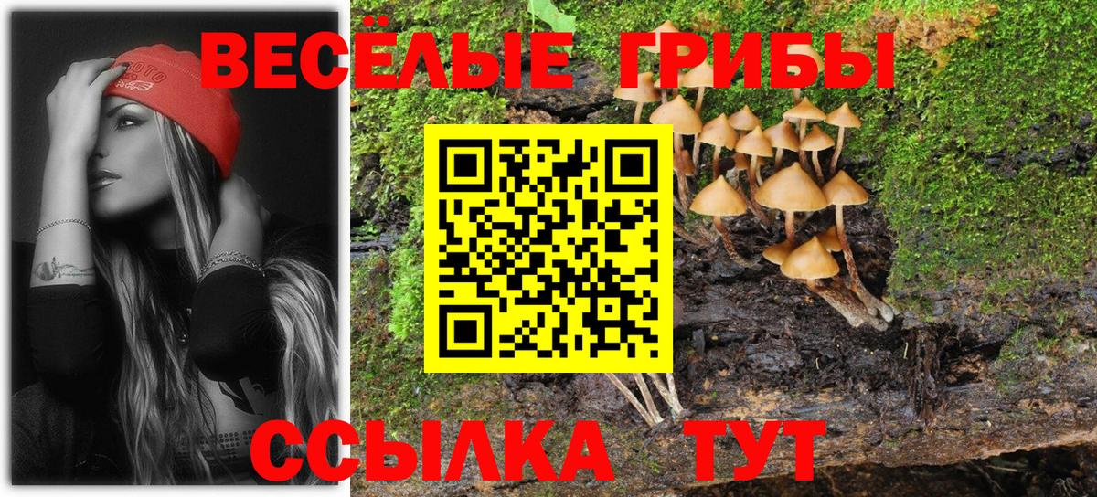 Галлюциногенные грибы Psilocybe Лабытнанги